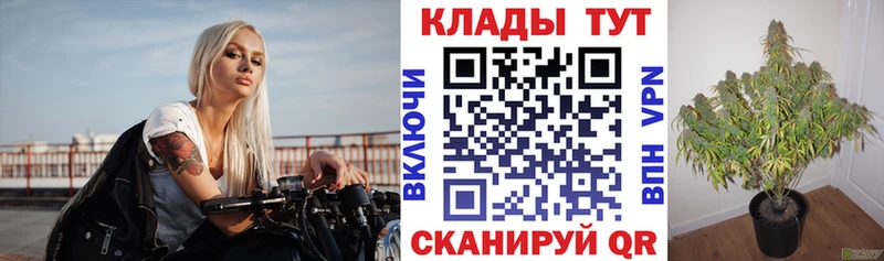 Купить закладку А ПВП  МЕФ  АМФ  Cocaine  Гашиш  Осташков