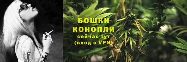 прущий лед Гусев