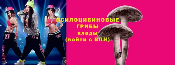 прущий лед Гусев