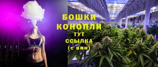 прущий лед Гусев