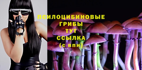 прущий лед Гусев